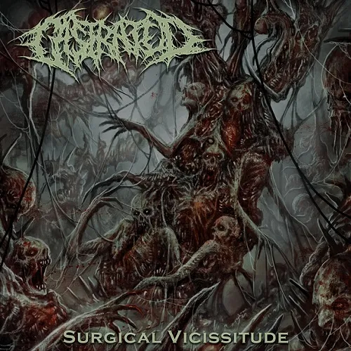 CASTRATED 'Surgical Vicissitude'