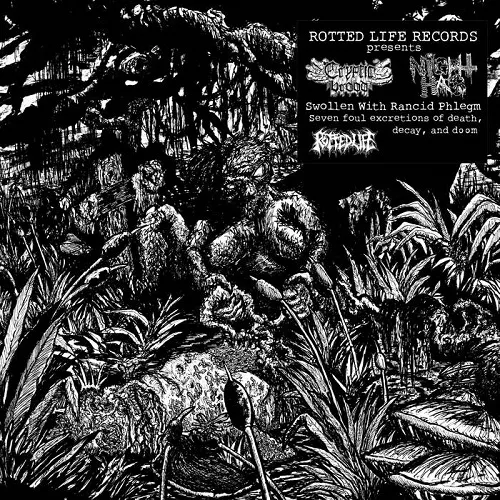 NIGHT HAG / CRYPTIC BROOD 'Swollen with Rancid Phlegm'